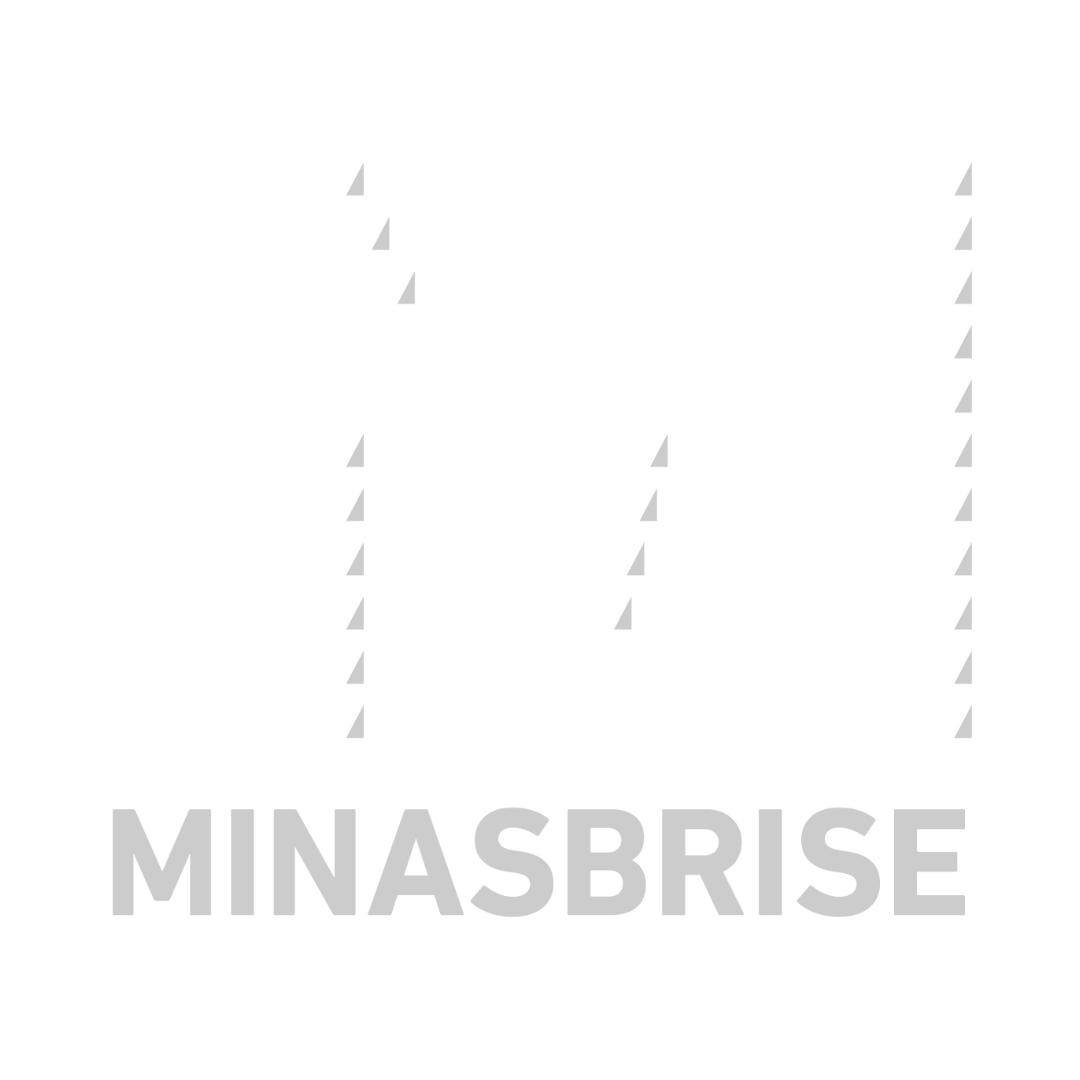 MINASBRISE LOGO BRANCA